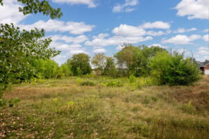 7 web or mls 16 sheffield st